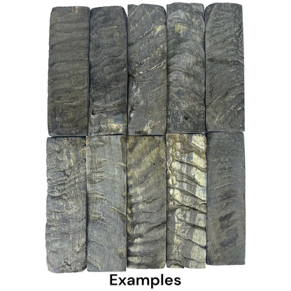 Ram Horn Scale Set Pair Dark, Knife Handle Making Premium Blanks 5 inch Unique Custom Knife Crafting Natural Material (Copy)