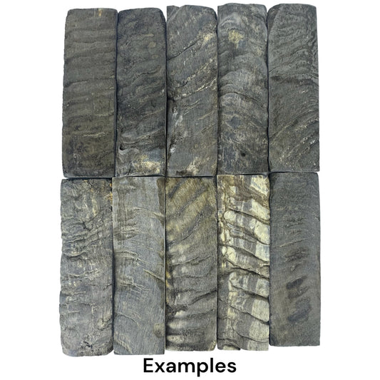 Ram Horn Scale Set Pair Dark, Knife Handle Making Premium Blanks 5 inch Unique Custom Knife Crafting Natural Material (Copy)